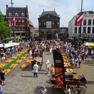 gouda cheese market landfriend to taste